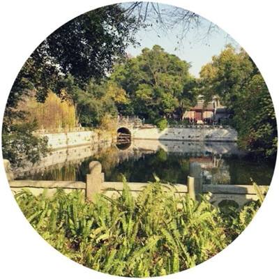 前往地球内购破解版下载